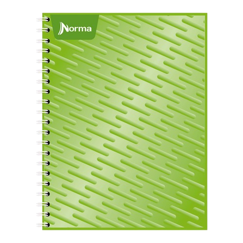 Cuaderno profesional cuadriculado Norma 100 hojas